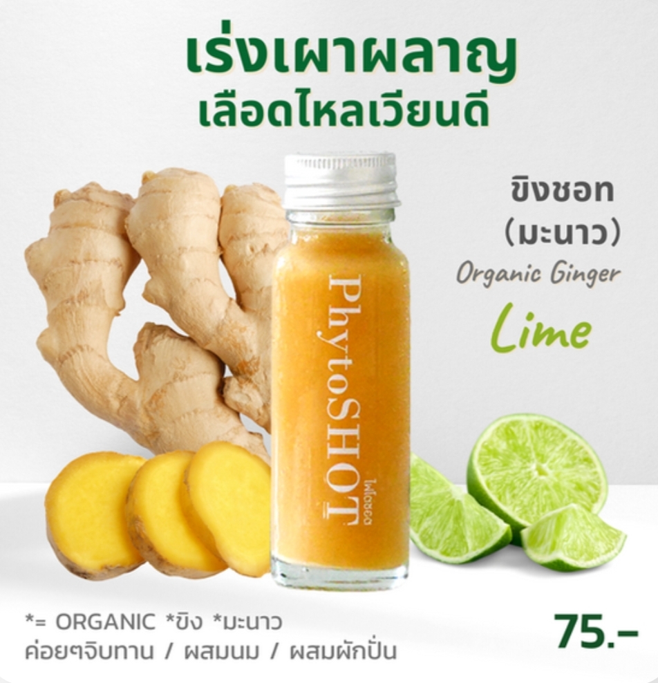 GINGER SHOT (มะนาว)